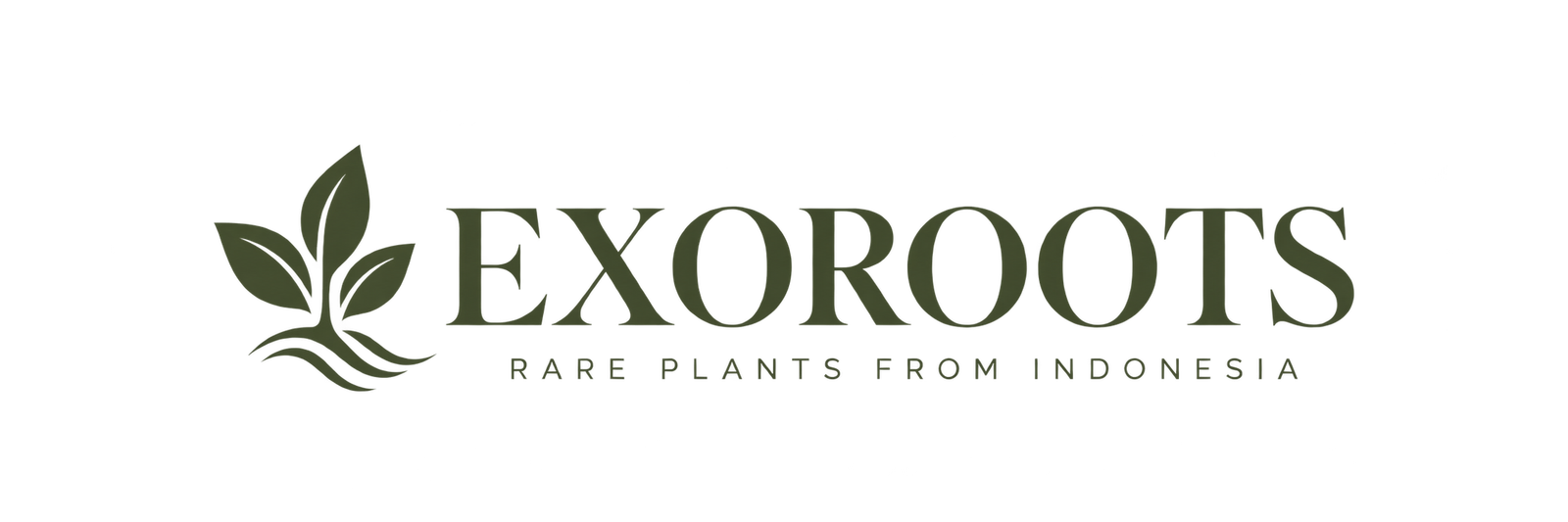 exoroots.com